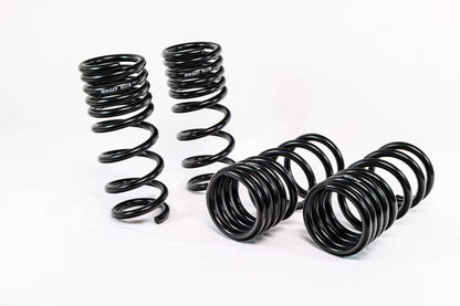 Swift Springs Nissan 370Z Z34 (2009–2020) Spec-R Lowering Springs