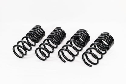 Swift Springs Nissan 370Z Z34 (2009–2020) Spec-R Lowering Springs