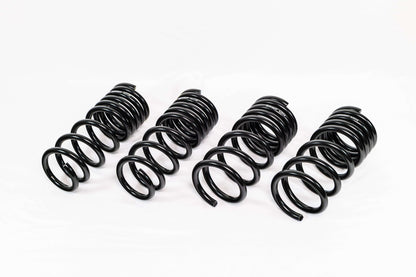 Swift Springs Nissan 370Z Z34 (2009–2020) Spec-R Lowering Springs