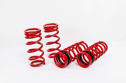 Swift Springs Nissan GTR (2015+) Sport Springs