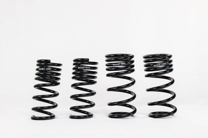 Swift Springs Nissan Z RZ34 (2023+) Spec-R Lowering Springs