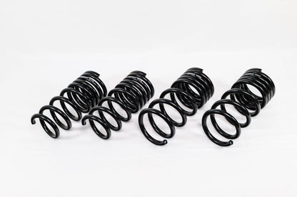 Swift Springs Nissan Z RZ34 (2023+) Spec-R Lowering Springs