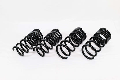 Swift Springs Nissan Z RZ34 (2023+) Spec-R Lowering Springs