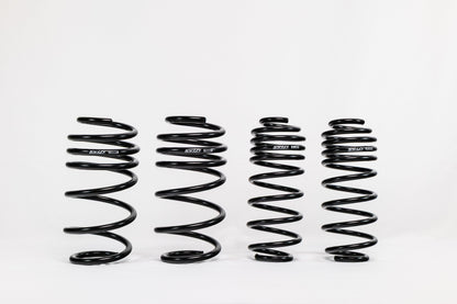 Swift Springs Ford Fiesta ST (2014–2019) Spec-R Lowering Springs
