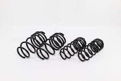 Swift Springs Ford Fiesta ST (2014–2019) Spec-R Lowering Springs