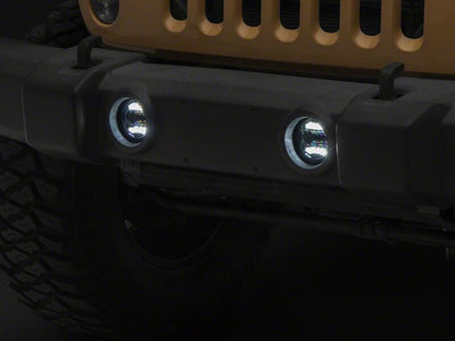 Photo - Close Up