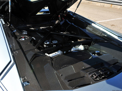 Reemplazo de la cubierta del compartimento del motor de fibra de carbono para Lamborghini Aventador LP700 Coupé Carbonado 2011-2016