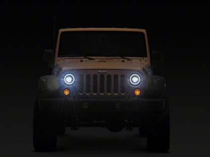 Photo - Close Up