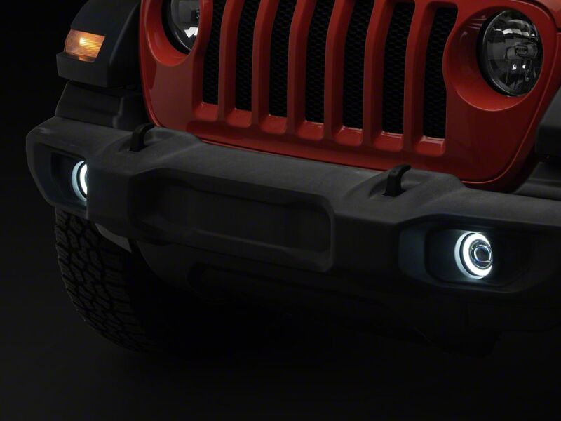 Photo - Close Up