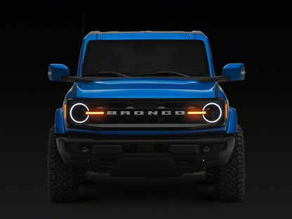 Photo - Close Up