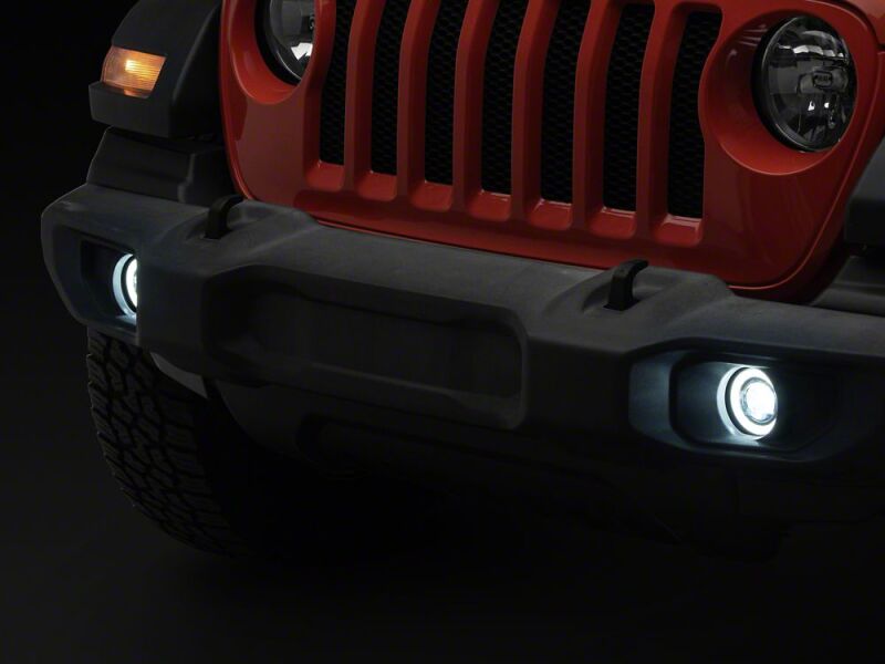 Photo - Close Up