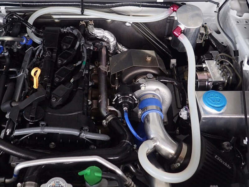 Photo - Close Up
