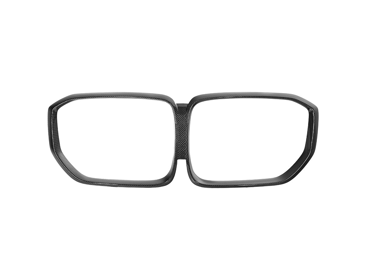 Reemplazo de rejilla de carbono seco AutoTecknic - G05 X5 LCI