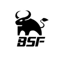 BSF Logo