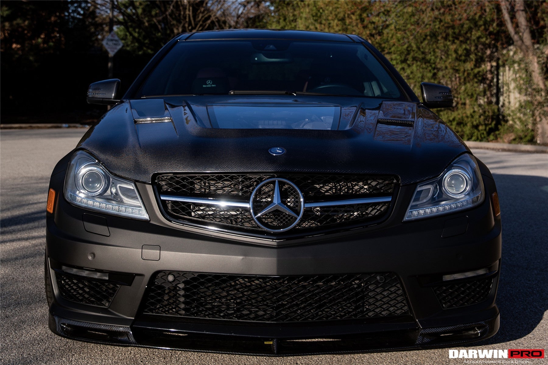 DarwinPRO DarwinPro 2012-2014 Mercedes Benz W204 C63 AMG IMP Performance Hood