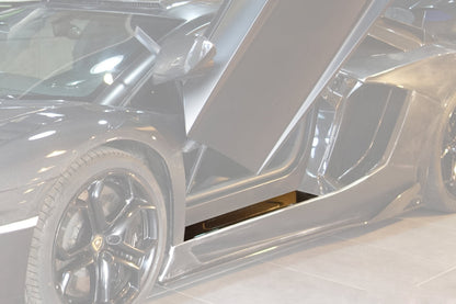 DarwinPRO Carbon Fiber Door Still Plate Caps | 2011-2016 Lamborghini Aventador LP700 Coupe