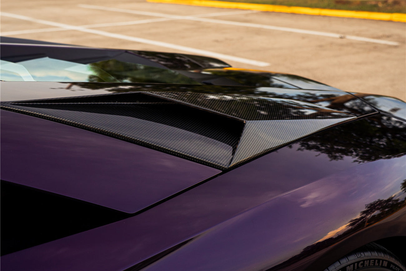 Tomas de aire traseras de fibra de carbono DarwinPRO 2011-2016 Lamborghini Aventador LP700 Coupé y Roadster estilo BKSS