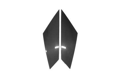 DarwinPRO 2011-2016 Lamborghini Aventador LP700 Coupe Carbon Fiber Rear Intake Panel