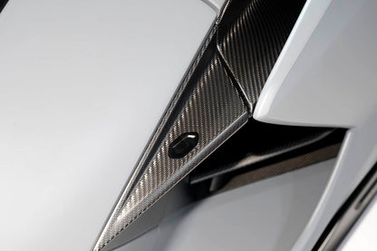 Manija de puerta de fibra de carbono autoclave estilo OE Lamborghini Revuelto DarwinPRO 2023-UP