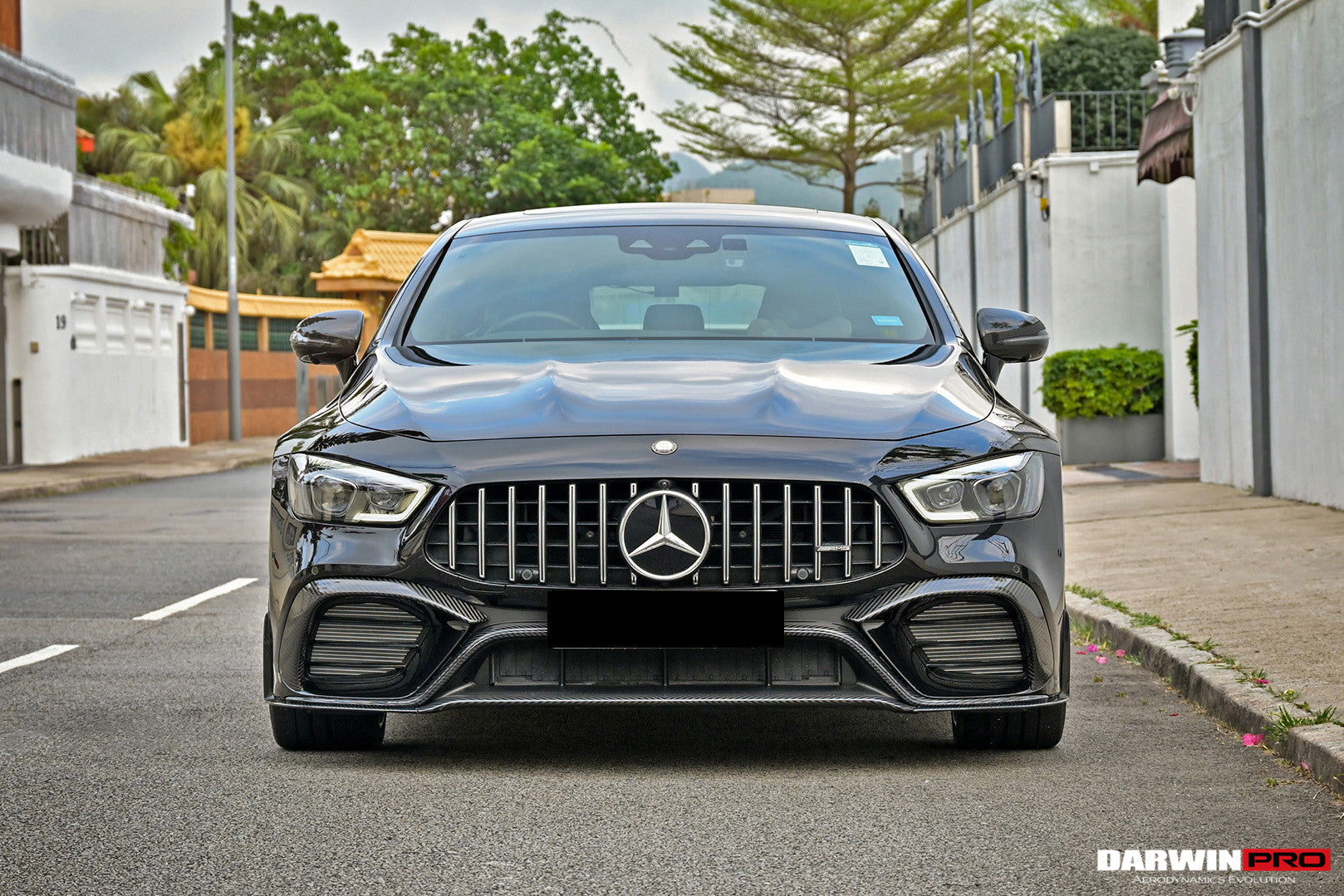 DarwinPRO 2019+ Mercedes Benz AMG GT63 S 4Door Coupe X290 Carbon Fiber Middle Front Lip