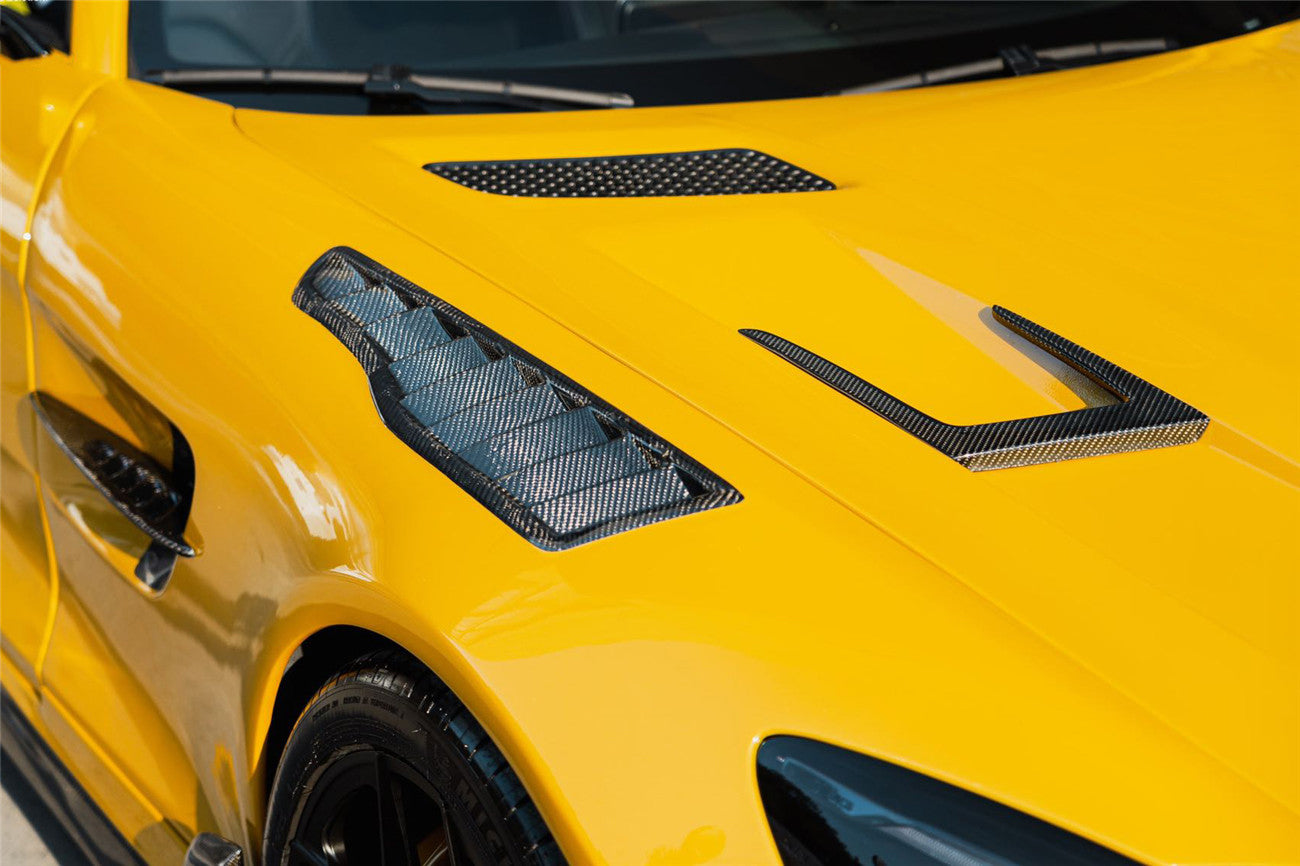 DarwinPRO BK Style Partial Carbon Fiber Front Fender | 2015-2021 Mercedes Benz AMG GT & GTS & GTC & GTR