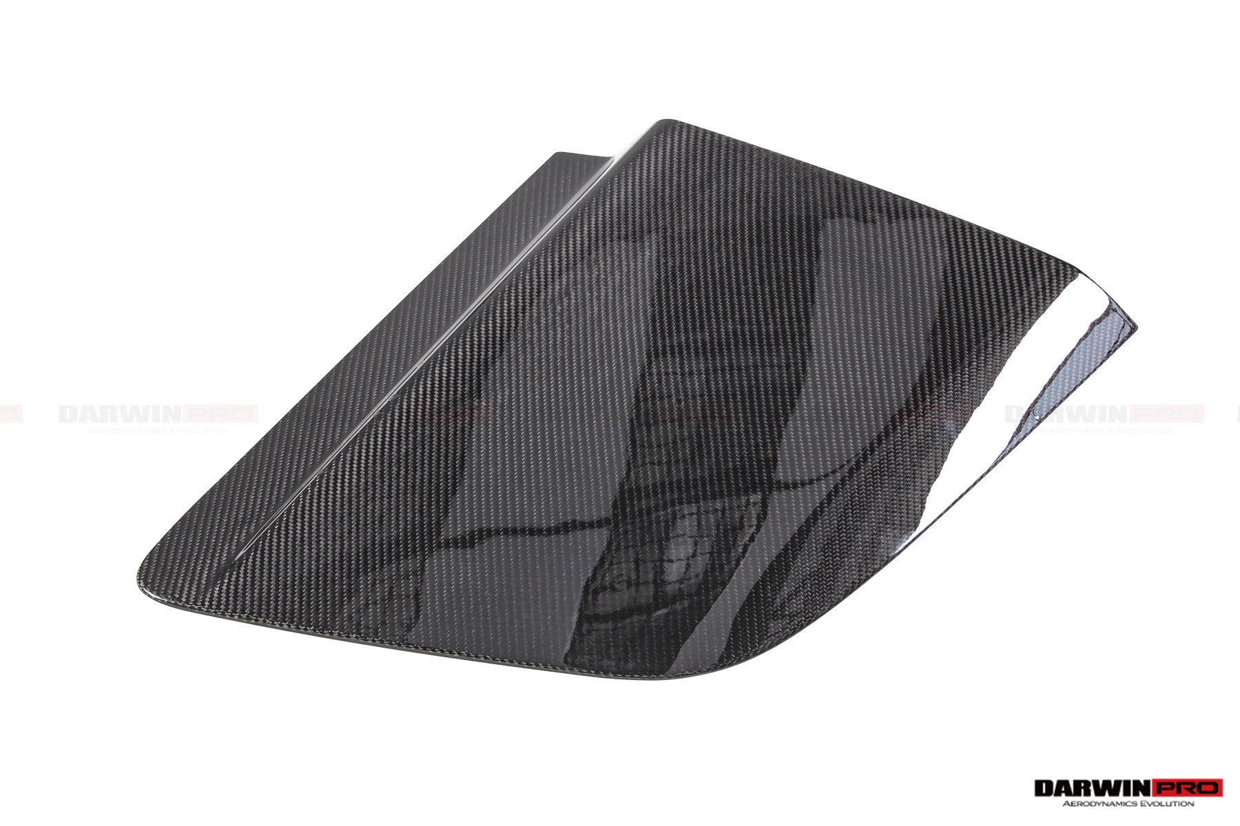 DarwinPRO GT4 Style Dry Carbon Fiber Side Door Panel Blades | 2016-2025 Audi R8 Coupe & Spyder