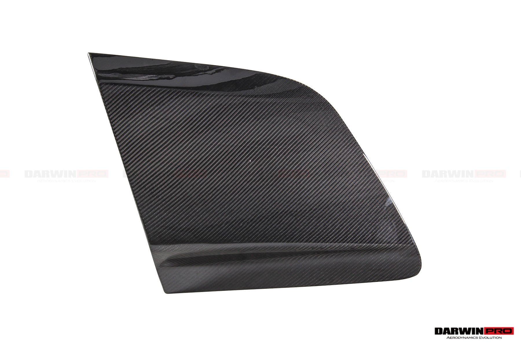 DarwinPRO GT4 Style Dry Carbon Fiber Side Door Panel Blades | 2016-2025 Audi R8 Coupe & Spyder