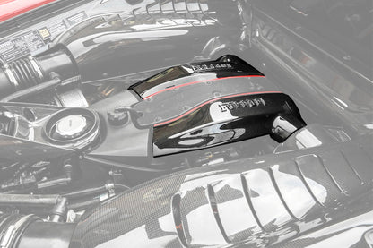 DarwinPRO 2015-2020 Ferrari 488 GTB & Spider Autoclave Carbon Fiber Engine Cover Replacement