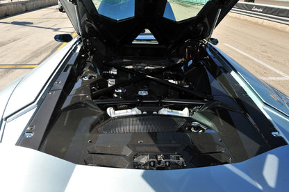 DarwinPRO 2013-2016 Lamborghini Aventador LP700 Roadster Carbon Fiber Engine Bay Panels Replacement