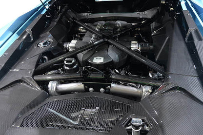 DarwinPRO Carbon Fiber Engine Bay Cover Interior Replacement | 2011-2016 Lamborghini Aventador LP700 Coupe