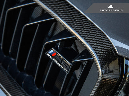 Reemplazo de rejilla de carbono seco AutoTecknic - F90 M5 LCI