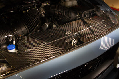 APR Carbon Fiber Cooling Plate (2024+ Ford Mustang S650)