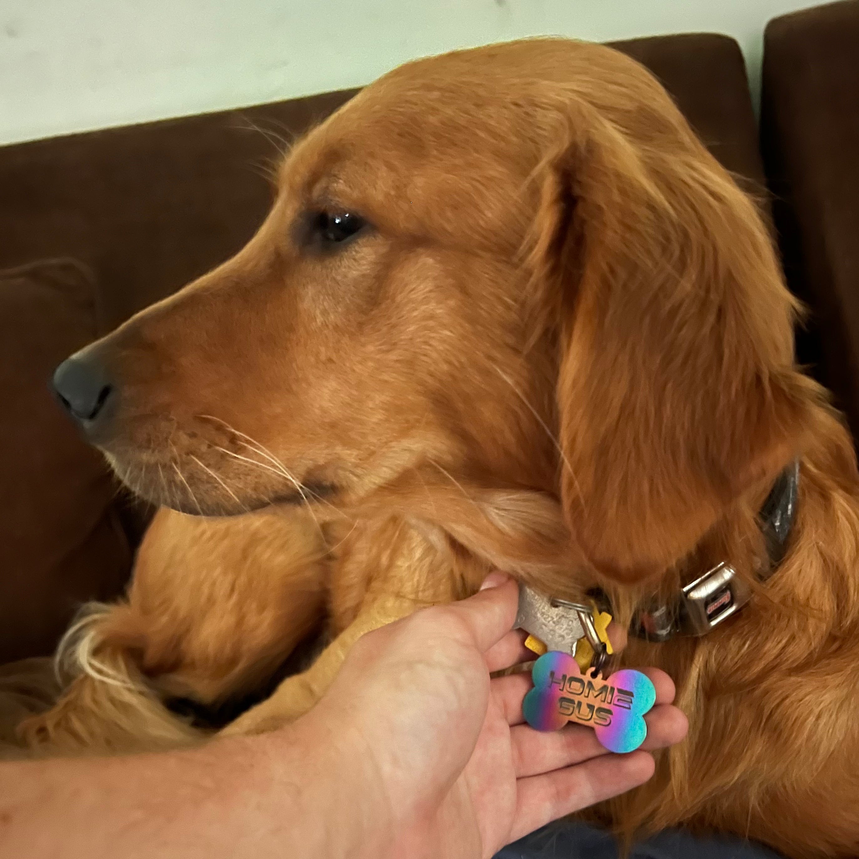 JDC Titanium Customizable Dog Tags