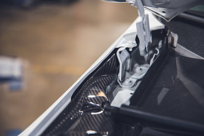 APR Carbon Fiber Radiator Cooling Plates (2023+ Acura Integra Type S)
