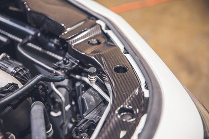 APR Carbon Fiber Radiator Cooling Plates (2023+ Acura Integra Type S)