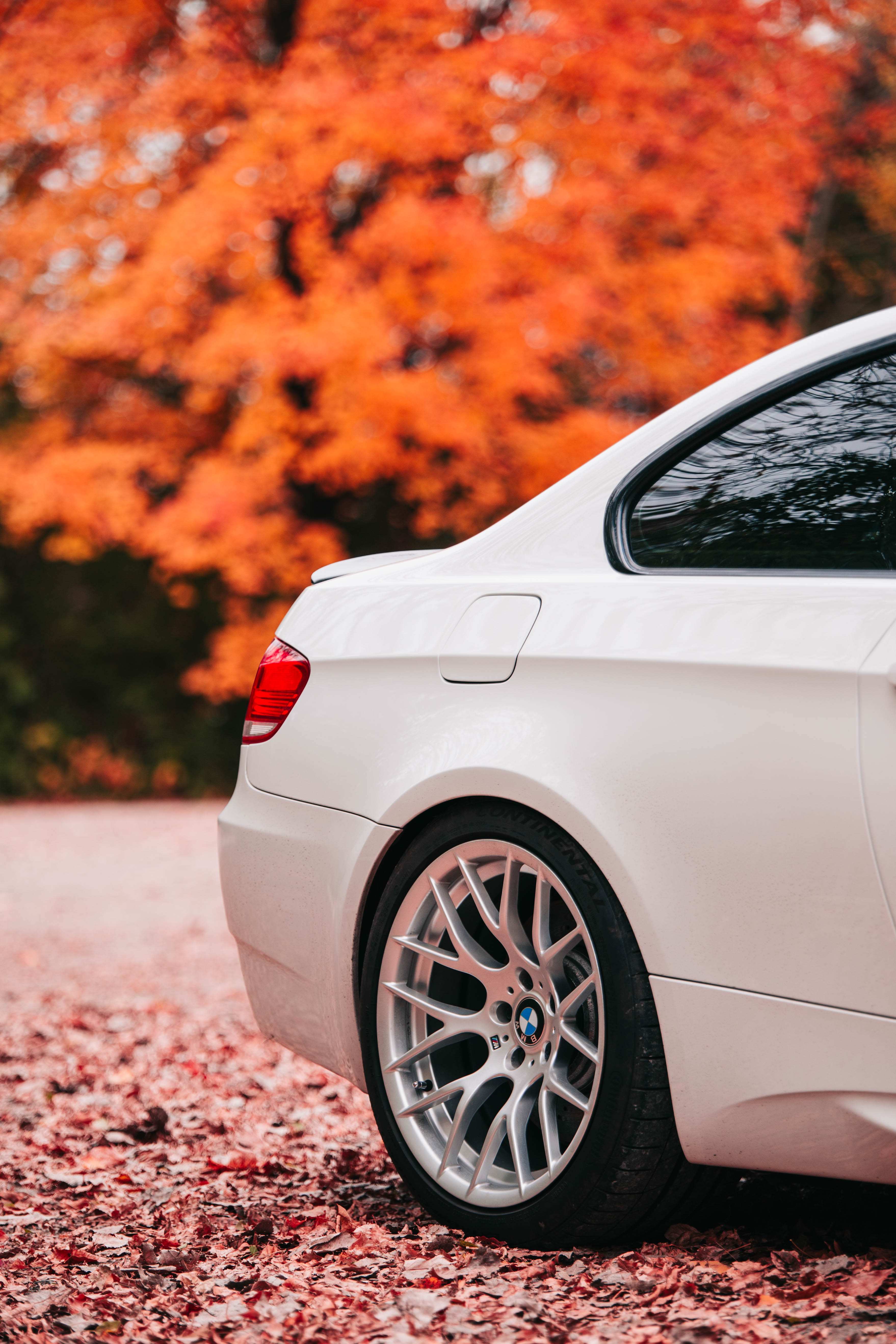 Swift Springs BMW M3 E90/E92/E93 (2008–2013) Spec-R Lowering Springs