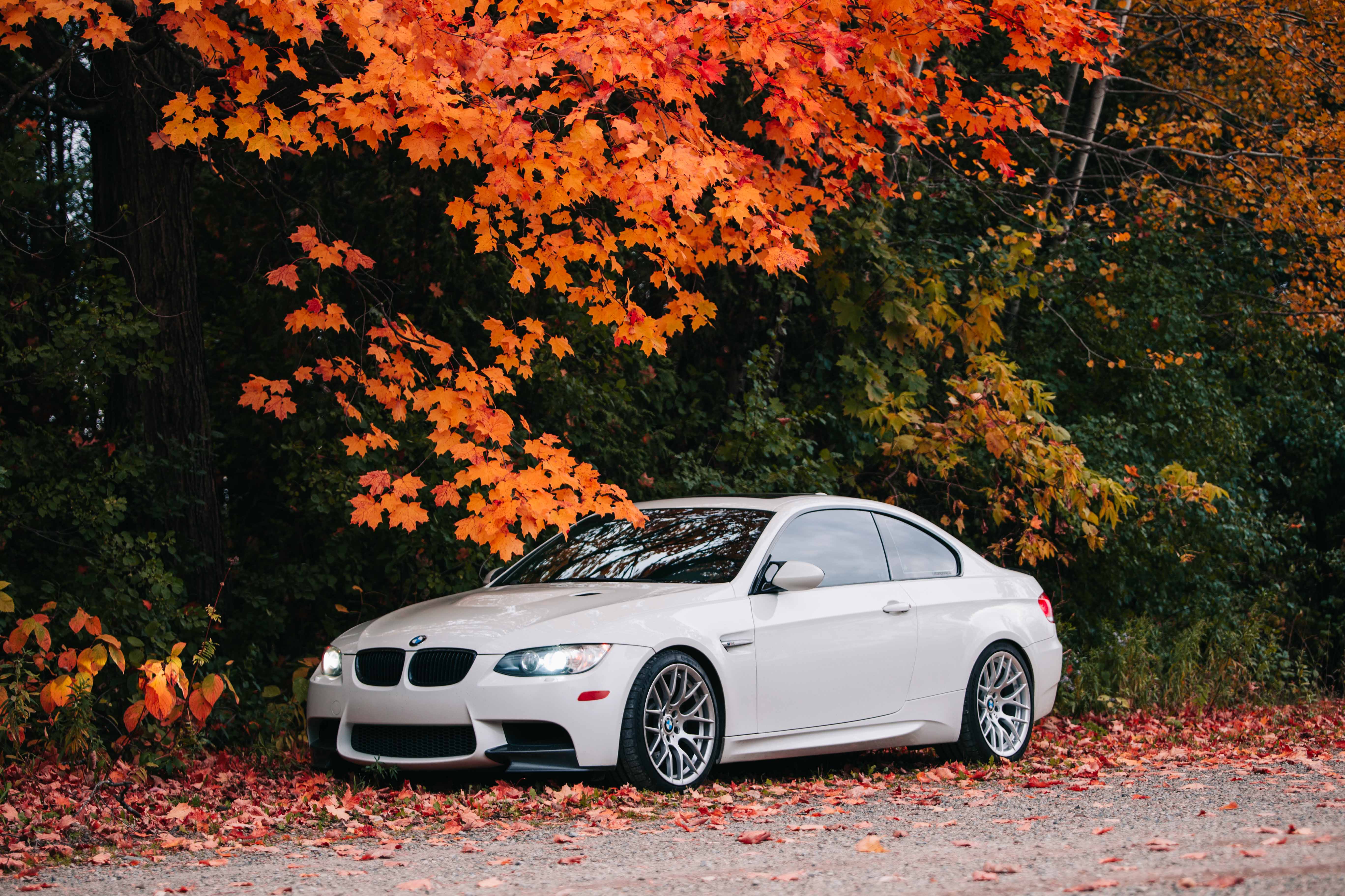 Swift Springs BMW M3 E90/E92/E93 (2008–2013) Spec-R Lowering Springs