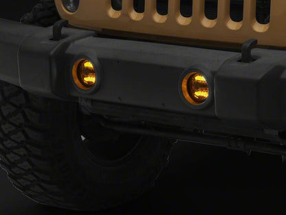 Photo - Close Up