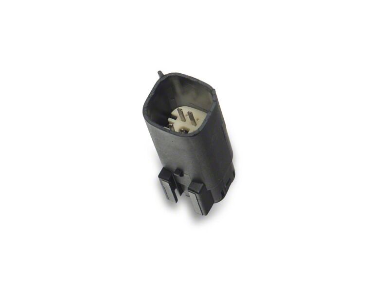 Photo - Close Up