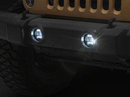 Photo - Close Up