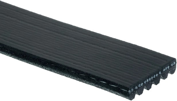 Gates Serpentine Micro-V Belt (10-13 Mazda 3)