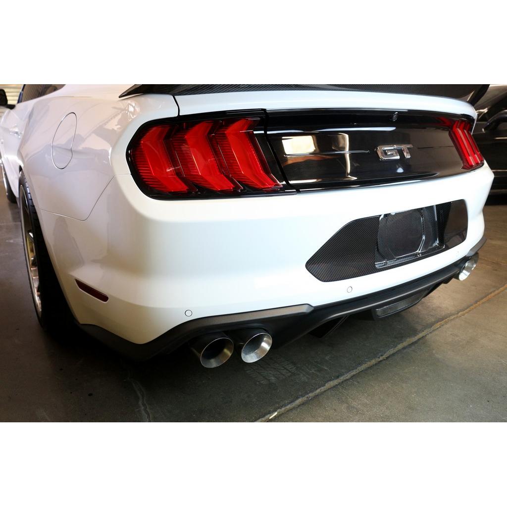 Soporte de placa de matrícula de fibra de carbono APR (Ford Mustang Shelby GT350 2018-2023)