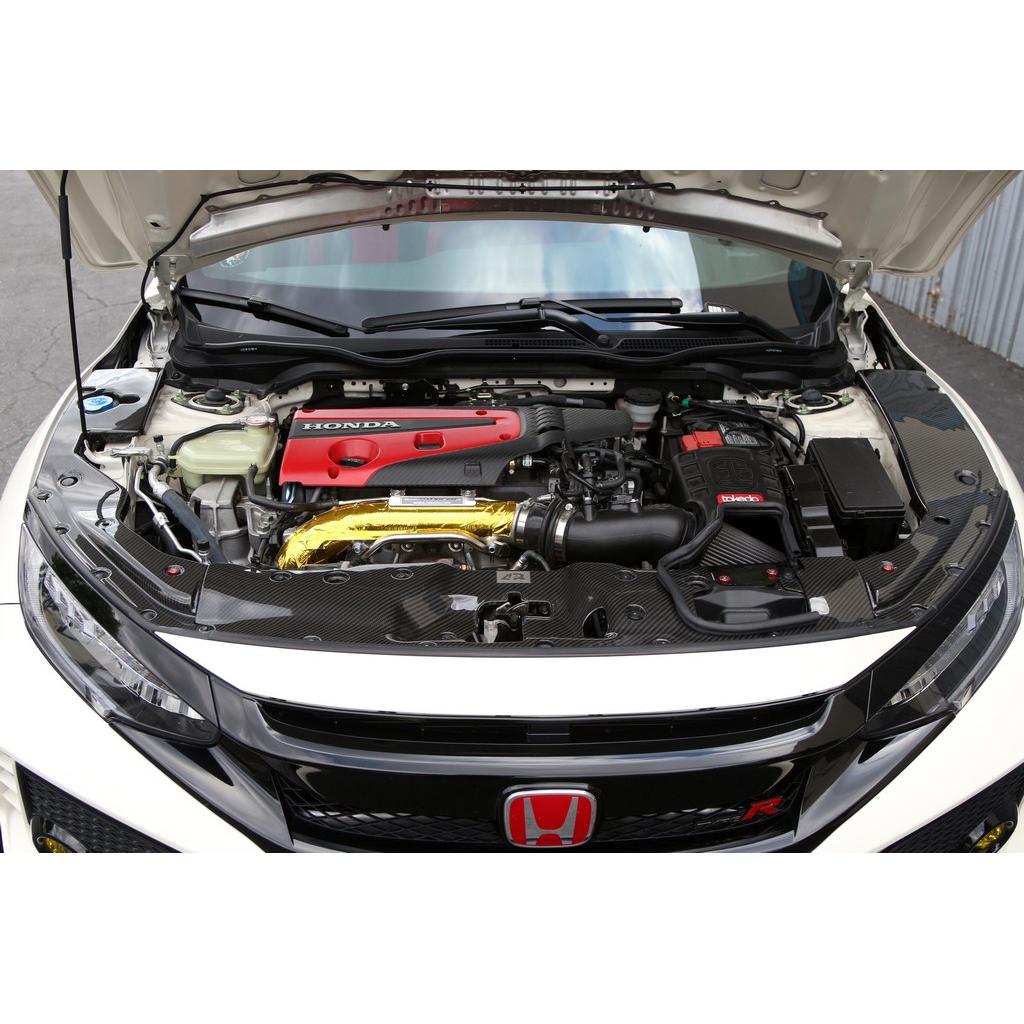 APR Carbon Fiber Radiator Cooling Plate (2017-2021 Honda FK8 Civic Type R)