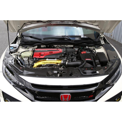 APR Carbon Fiber Radiator Cooling Plate (2017-2021 Honda FK8 Civic Type R)