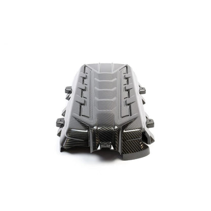 Cubierta del colector de admisión del motor, paneles de apariencia y paquete de fibra de carbono APR (Chevrolet Corvette C8 2020-2023)