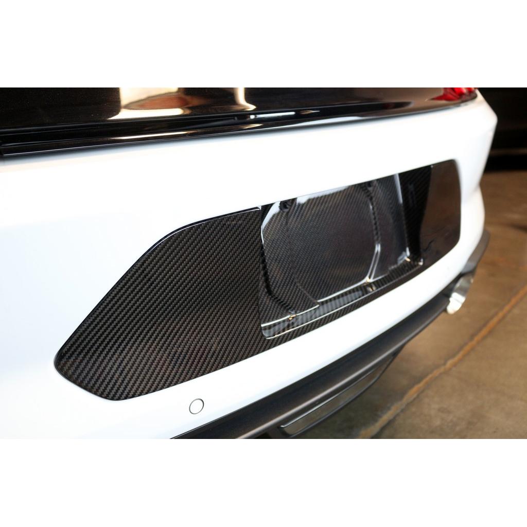 Soporte de placa de matrícula de fibra de carbono APR (Ford Mustang Shelby GT350 2018-2023)