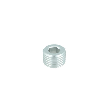 NPT Plug (VS-18-S)