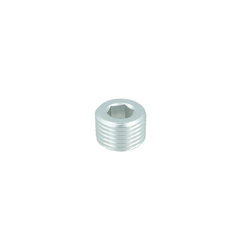 NPT Plug (VS-18-S)