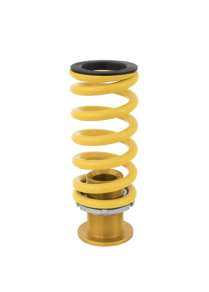 Ohlins Road & Track Coilover System (17 - 21 Honda Civic Type R) - Ohlins