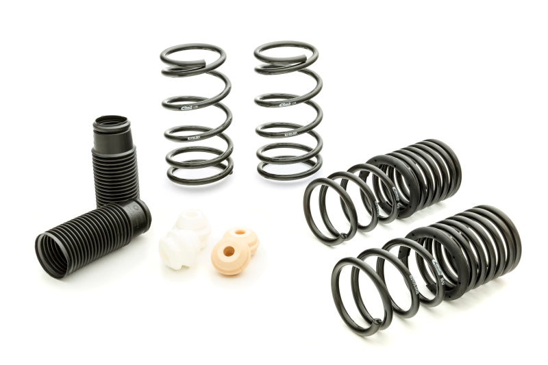 Kit profesional Eibach (13-21 FRS/BRZ)